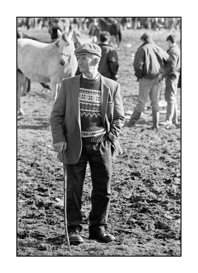 Ballinasloe horse fair Galway